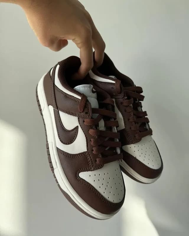 Nike Dunk Brown