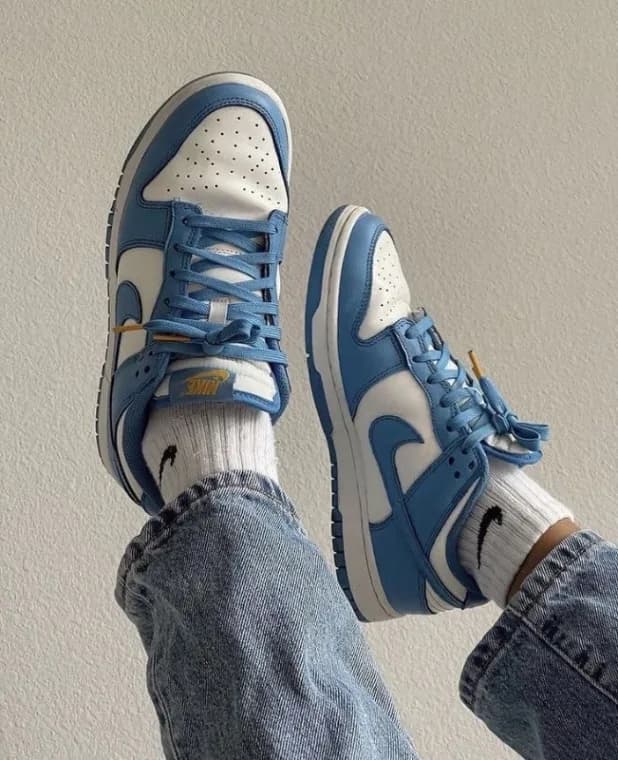 Nike Dunk Low Blue
